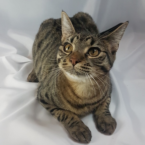 Meet your Posher, Jordan - Picture 1 of 1